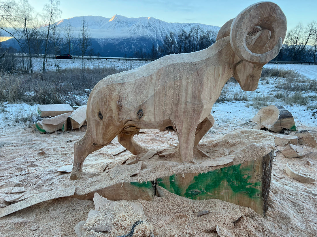 Dall Sheep Sculpture in progress